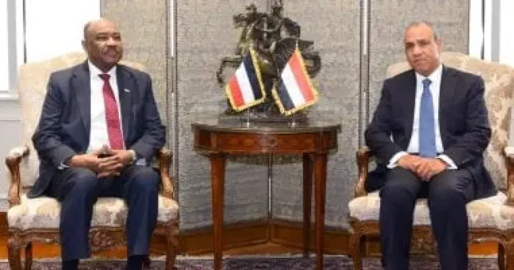 وزير الخارجية يبحث مع نظيره السوداني مستجدات الأوضاع في السودان