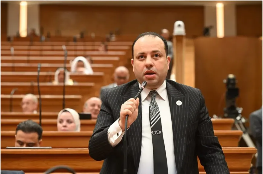 النائب وليد خطاب: انضمام مصر لبرنامج أفق أوروبا للبحث العلمي والابتكار إضافة نوعية للباحثين المصريين