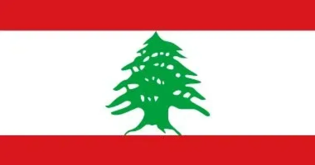 رئيس الوزراء اللبناني يؤكد البدء في إعادة الإعمار ببلدة طير حرفا بالجنوب