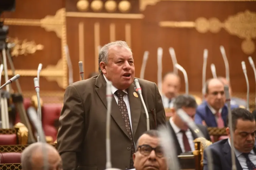 الأجرود: موقف مصر من وحدة الصومال ثابت ورسائل الرئيس السيسي حاسمة لحماية الأمن الإقليمي