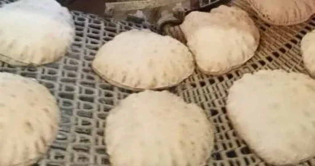 وزير التموين: استمرار إنتاج الدقيق بالمواصفات القياسية لتوفير الخبز المدعم