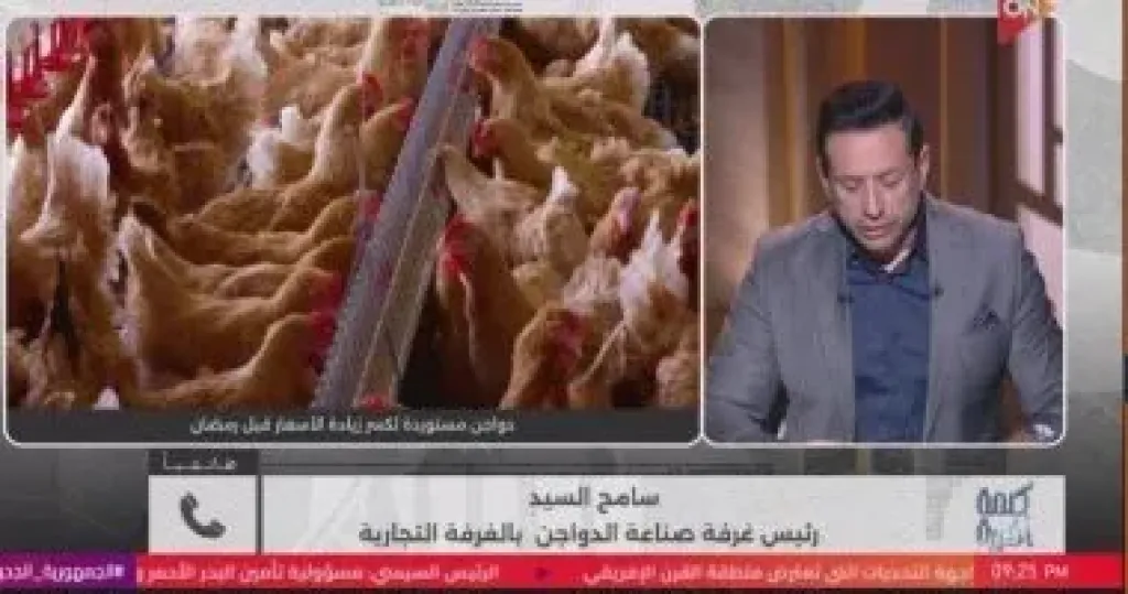 صناعة الدواجن: قرار استيراد الطيور يوازن الأسعار ويحد من الاستغلال