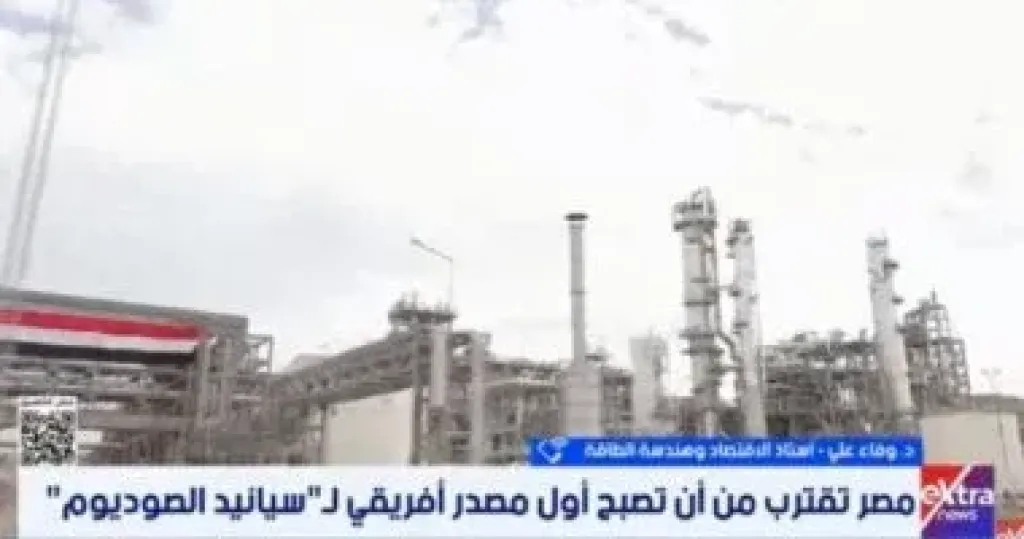 خبيرة لإكسترا نيوز: إطلاق سوق المشتقات نقلة نوعية للبورصة المصرية