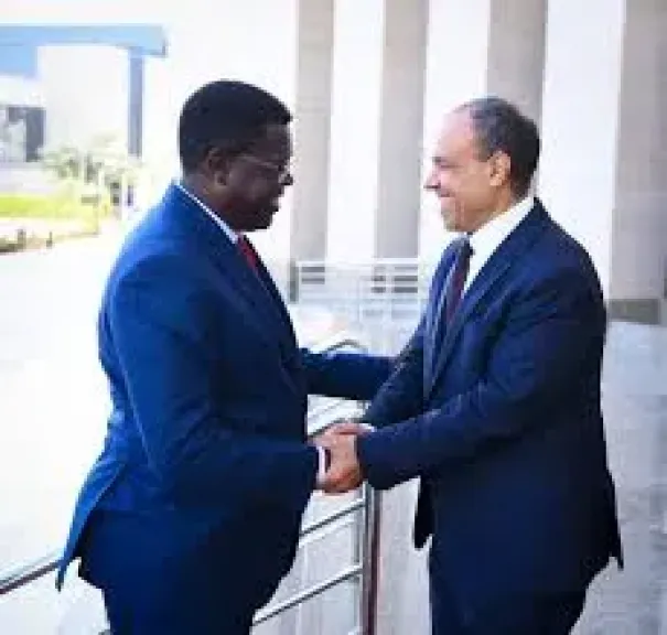 وزير الخارجية يؤكد رفض الإجراءات الأحادية فى حوض النيل