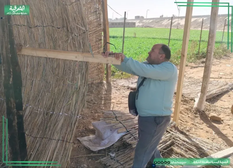 إزالة ٤٦٣ حالة تعدي بالبناء المخالف بالموجه 28 لازالات التعديات بالشرقية