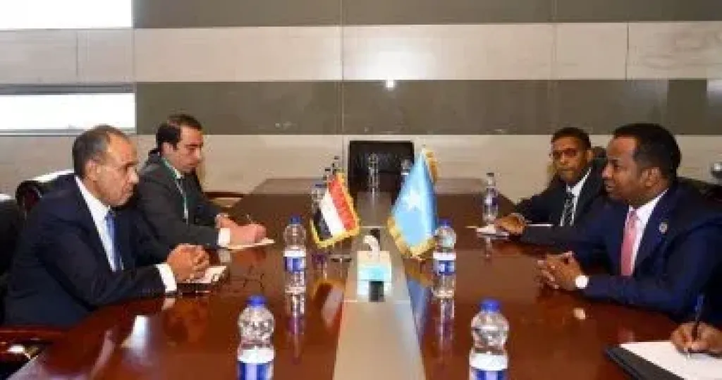 وزير الخارجية يلتقى نظيره الصومالى ويؤكد دعم مصر لوحدة وسيادة الصومال