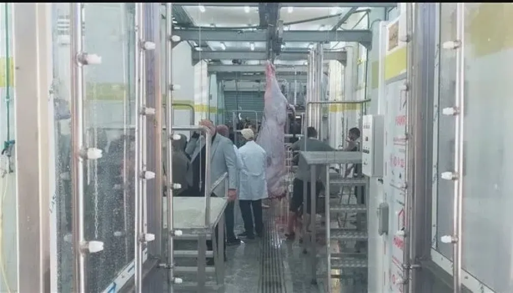 43 مجزرًا مطورًا تدخل الخدمة لتعزيز توفير لحوم صحية وآمنة للمواطنين