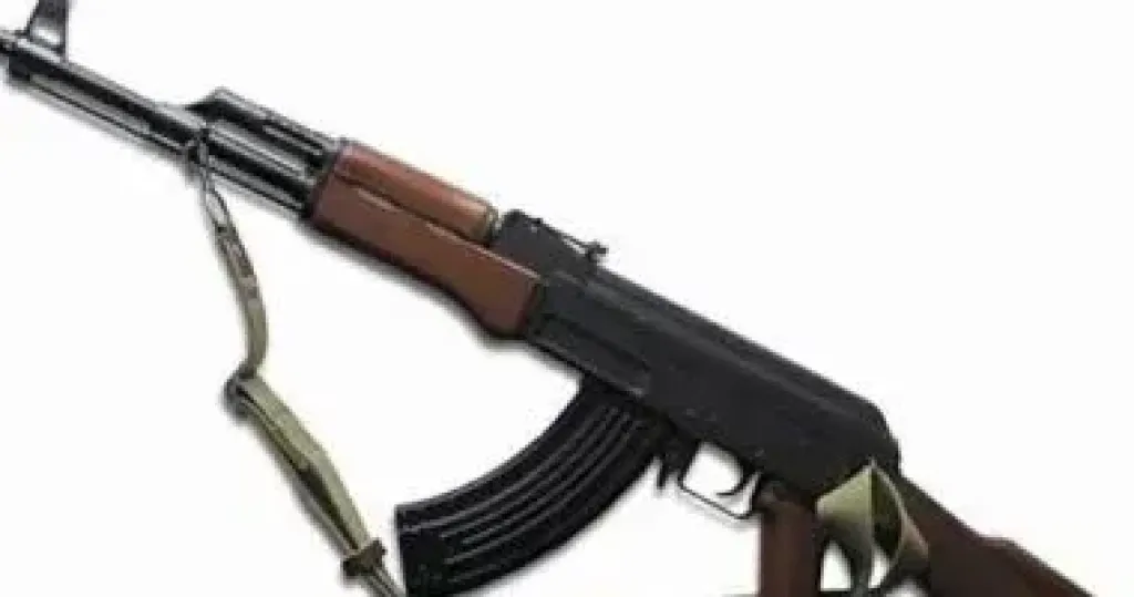 الإعدام لـ عاطلين قتلا شخص بأسلحة نارية لخلافات في البحيرة