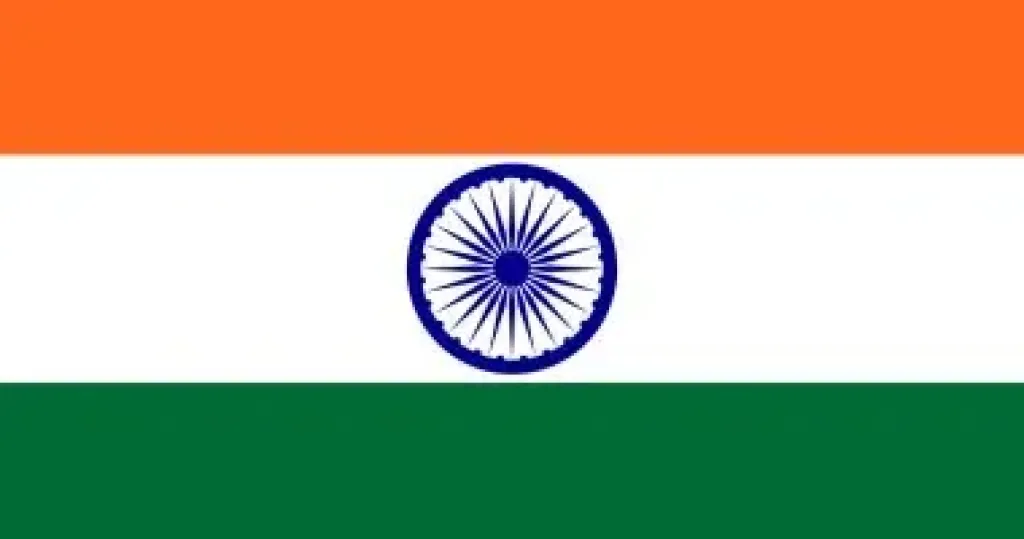 مصرع وإصابة 5 أشخاص في حادث سقوط سيارة بواد في الهند