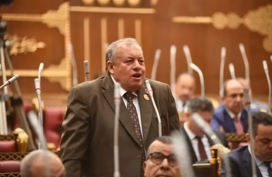 النائب محمد الأجرود: الخطة القومية لمكافحة الأورام أولوية وطنية لحماية صحة المصريين