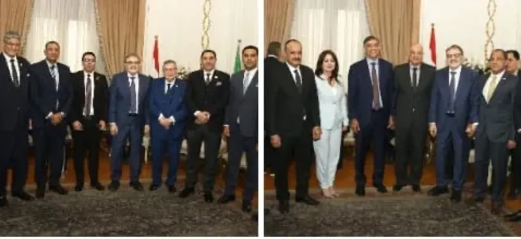 رئيس الوفد: لا حياة سياسية دون أحزاب قوية