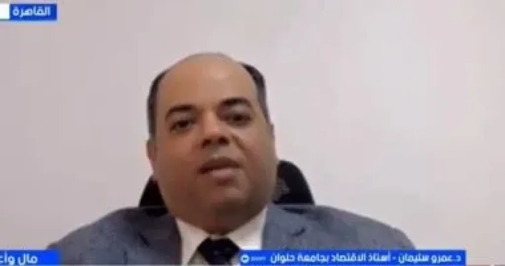 أستاذ اقتصاد: المشروعات الصغيرة ومتناهية الصغر محركات أساسية للنمو