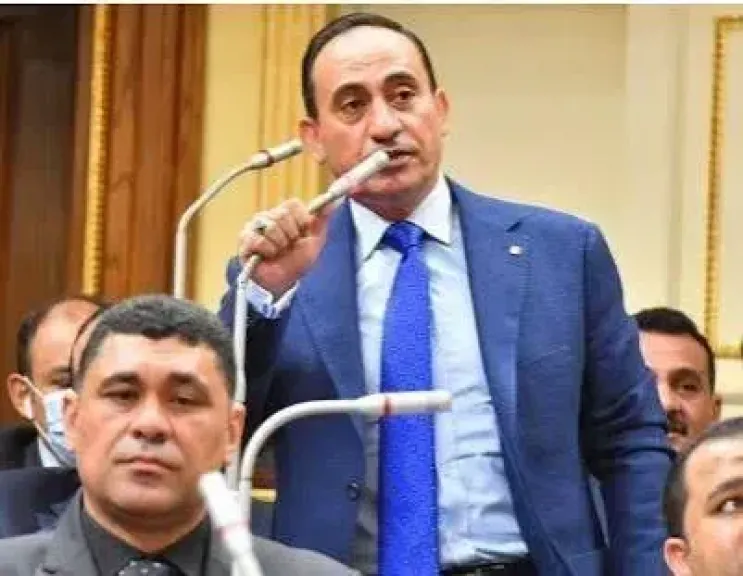 النائب محمد زين الدين يحذر من الاستيراد العشوائي بعد تسهيل الإجراءات بعد تعديل سجل المستوردين