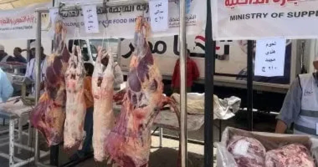 أسعار اللحوم بمحلات الجزارة في الإسكندرية اليوم