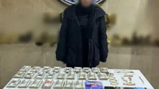 مستريحة السيارات.. ضبط سيدة نصبت على المواطنين بزعم استيراد سيارات من الخارج