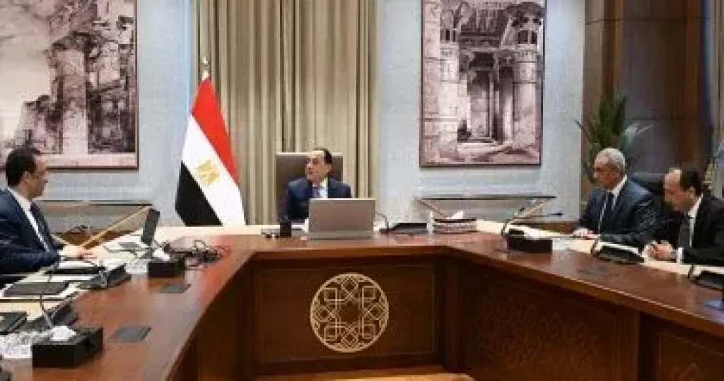 الحكومة: السوق المصرية تضم 10 علامات تجارية تصنع الهواتف المحمولة وملحقاتها