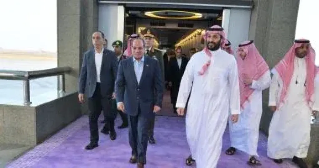 الرئيس السيسى وولى العهد السعودى يشددان على رفض أية محاولات لتهجير الشعب الفلسطيني خارج أرضه