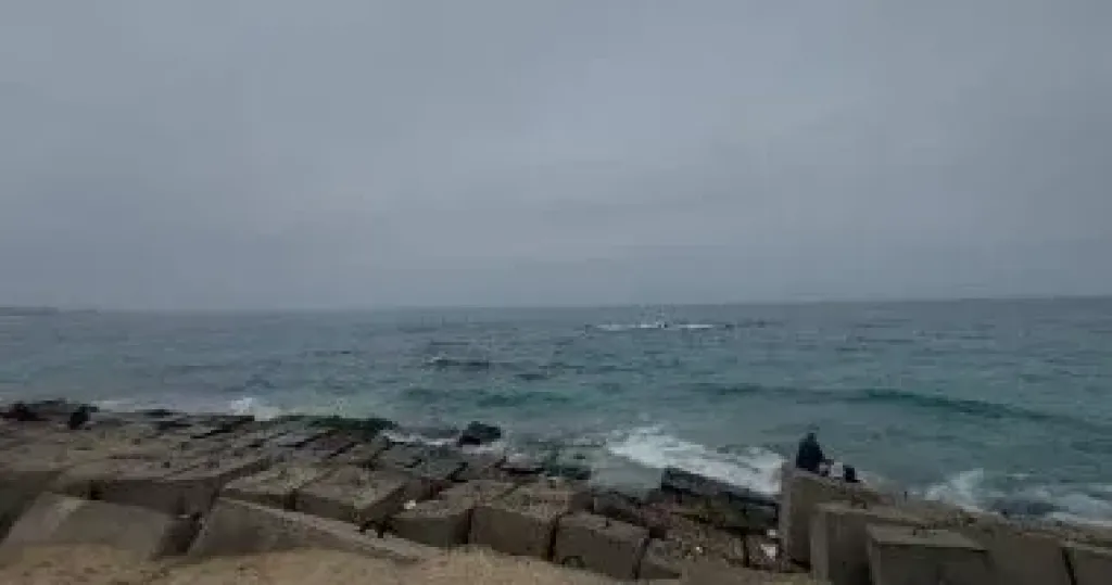 درجات الحرارة اليوم الخميس 26 فبراير 2026.. طقس شديد البرودة ليلا