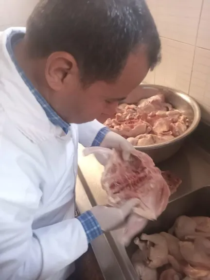 ضبط ٤١٣١ طن لحوم غيرصالحة بحملة تفتيشية ببيطرى الشرقية