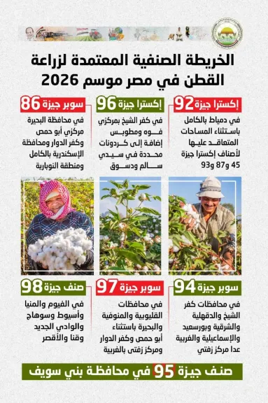 الزراعة تعلن خريطة أصناف القطن المعتمدة لموسم 2026