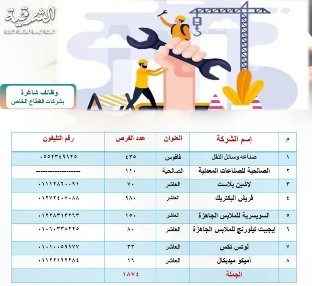محافظ الشرقية : توفير ١٨٧٤ فرصة عمل للشباب بالقطاع الخاص
