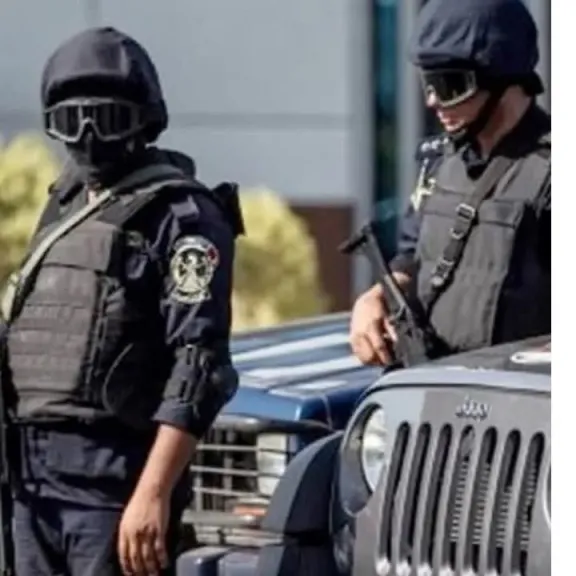 ضبط عنصرين جنائيين بأسيوط