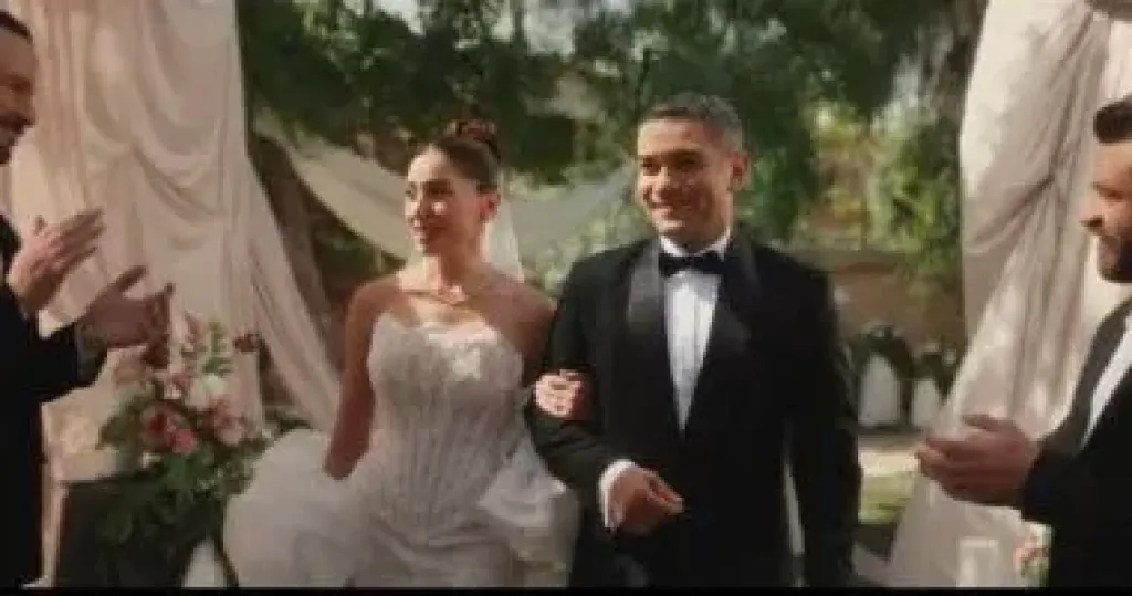 مسلسل اتنين غيرنا الحلقة الأخيرة.. زواج آسر ياسين ودينا الشربينى