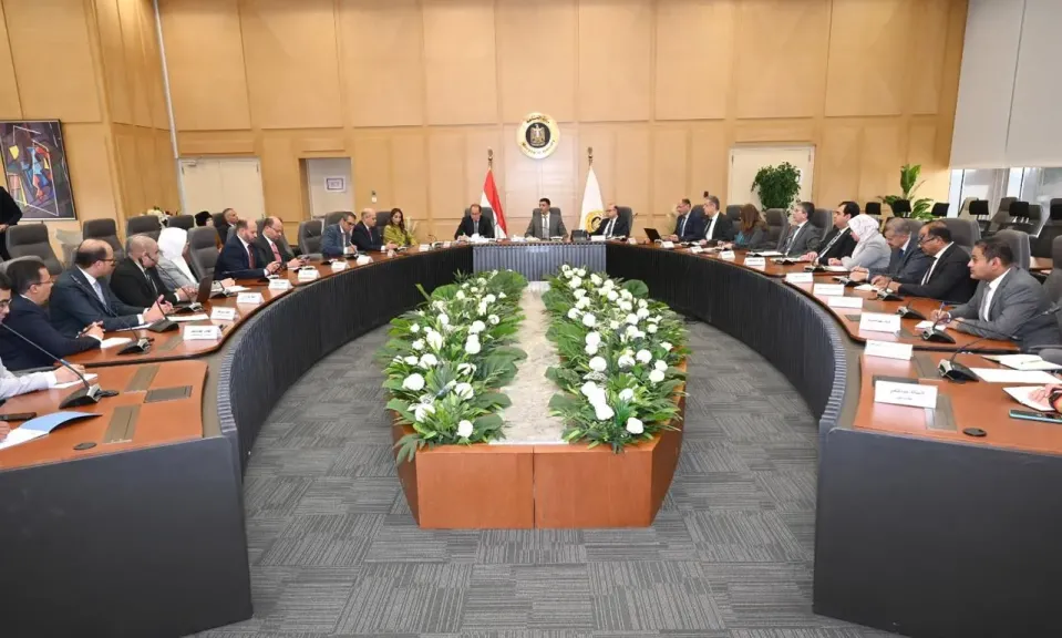 تنسيق حكومي لتعميق وتوطين صناعة السيارات في مصر