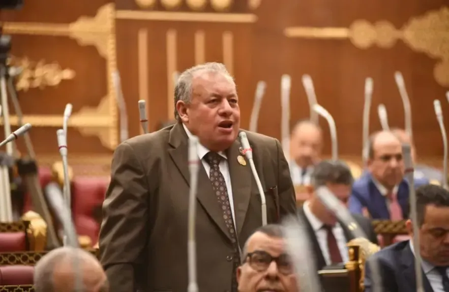 امين سر تشريعية الشيوخ: توجيهات الرئيس السيسي وضعت مصر على مسار الثبات وسط عواصف إقليمية غير مسبوقة