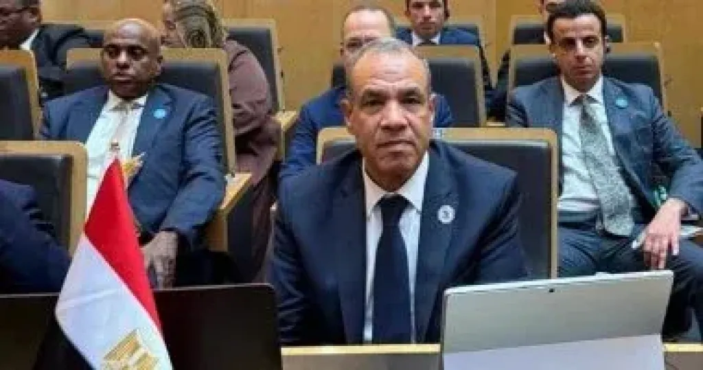 بدر عبد العاطى يؤكد رفض مصر الكامل لأى محاولات لاستهداف أو المساس بسيادة تركيا