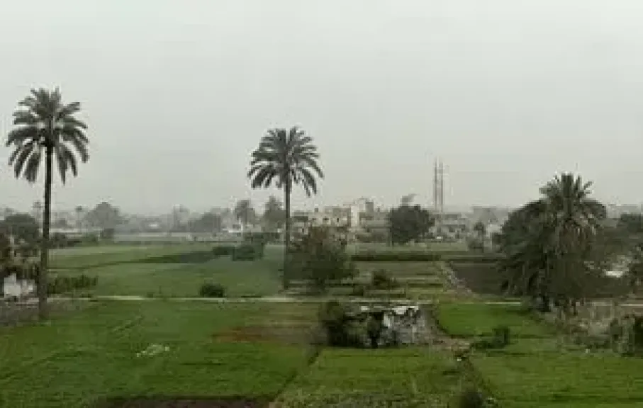 مركز المناخ لـ”لمزارعين”: اليوم ”الهدوء الأخير” قبل أقوى عواصف الربيع