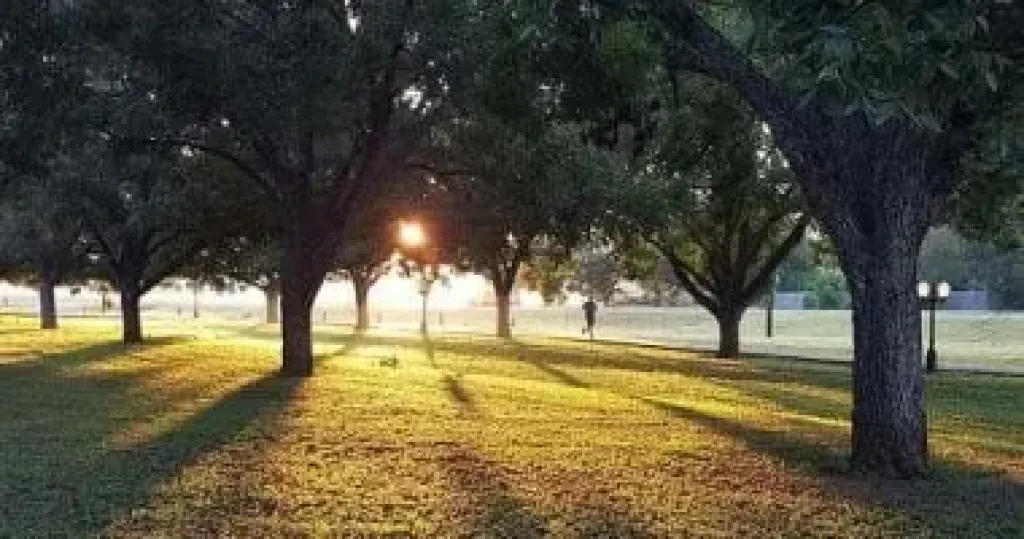 10 استعدادات حكومية لضمان بهجة المصريين فى العيد