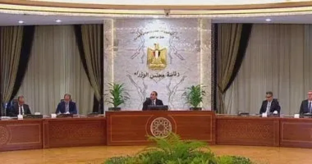 وزير الخارجية: الكل يخسر من التصعيد العسكرى فى المنطقة