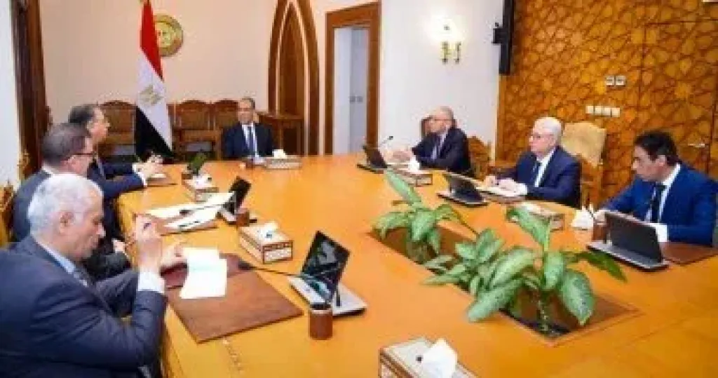 وزير الخارجية يوجه بتكثيف متابعة أوضاع المصريين بالخارج وتيسير الخدمات القنصلية