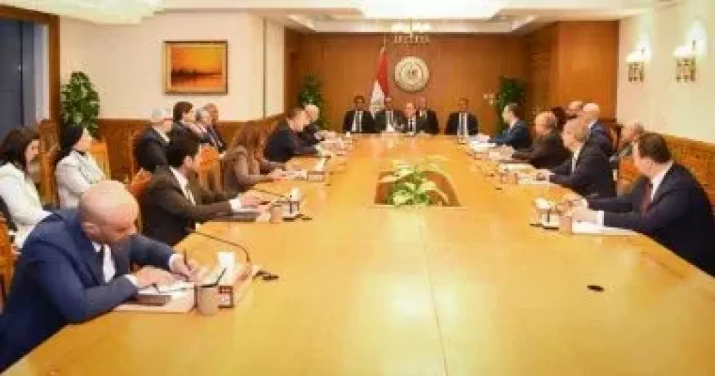 وزارة الخارجية تستضيف اجتماعا تنسيقيا لمتابعة قضايا المصريين بالخارج