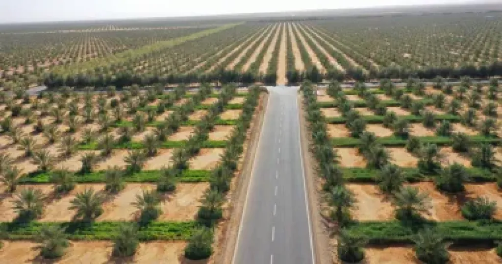 مركز البحوث الزراعية يتفقد زراعات القمح بتوشكى وشرق العوينات لمتابعة المحصول