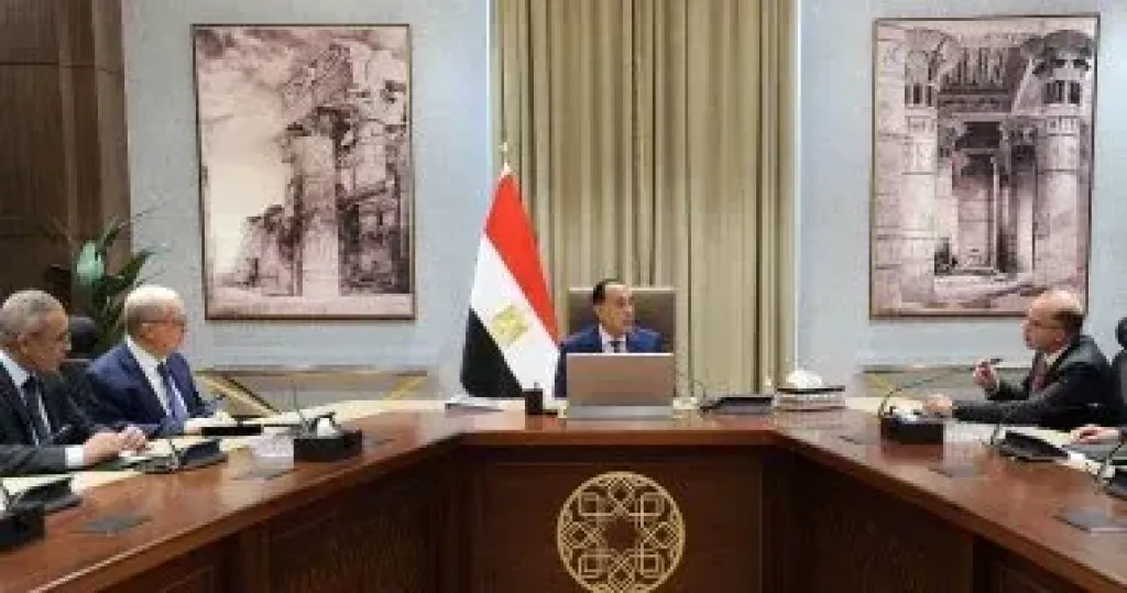 رئيس الوزراء يتابع جهود صندوق مصر السيادى فى تعظيم العائد من أصول الدولة