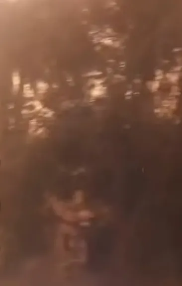 . تأثير العاصفة الترابية في محافظة أسيوط