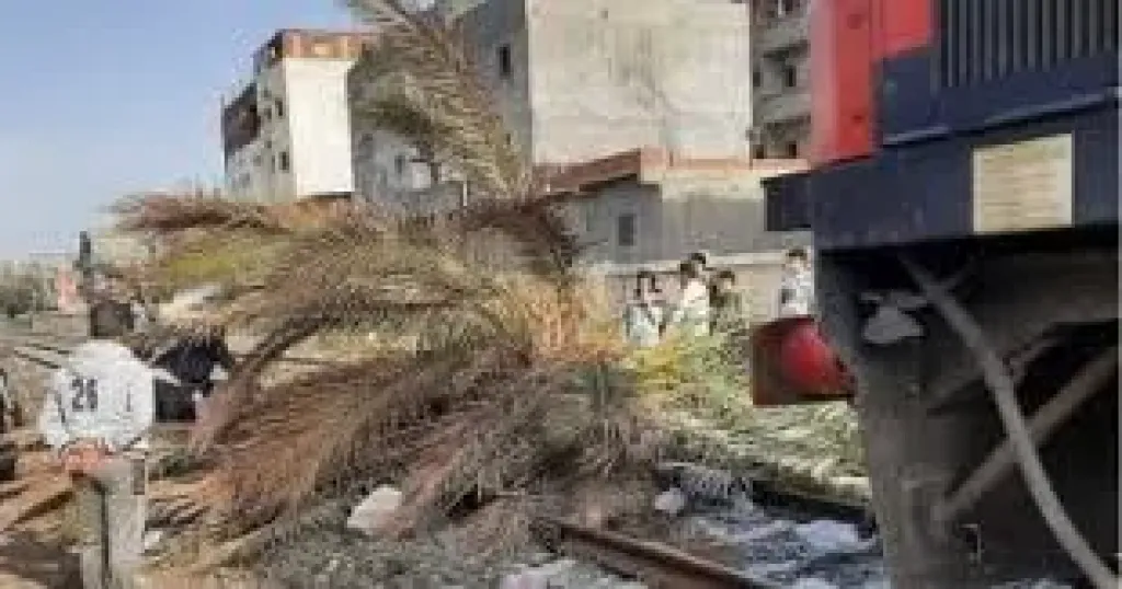 عودة حركة القطارات بعد سقوط نخلة على القضبان فى الإسكندرية بسبب الرياح
