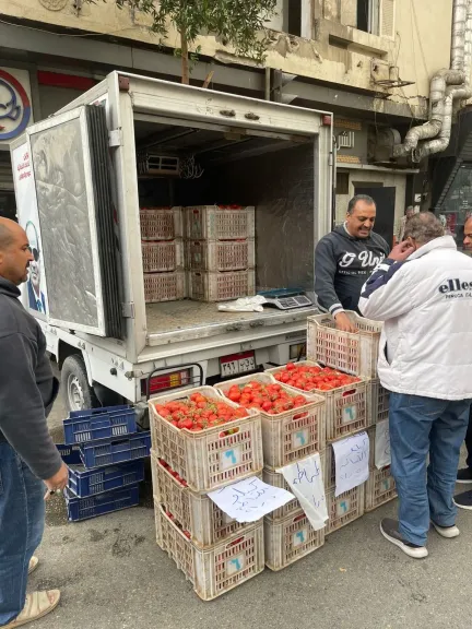 القابضة للصناعات الغذائية: بتوجيهات وزير التموين الدفع بسيارات متنقلة لبيع الطماطم بأسعار مخفضة