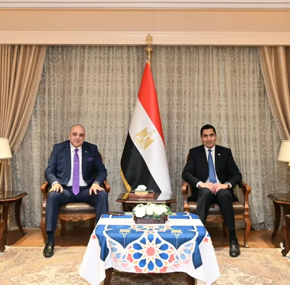 وزير الشباب والرياضة يستقبل رئيس نادي الشمس