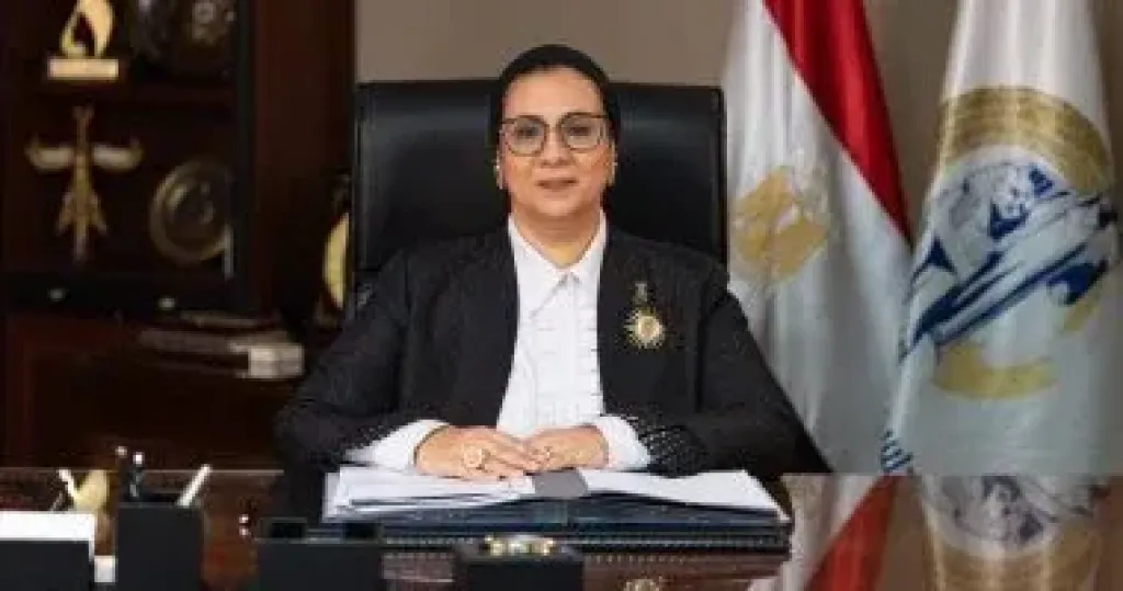 المجلس القومى للمرأة يثمّن قرار وزير العدل بشأن دعم تنفيذ أحكام النفقة