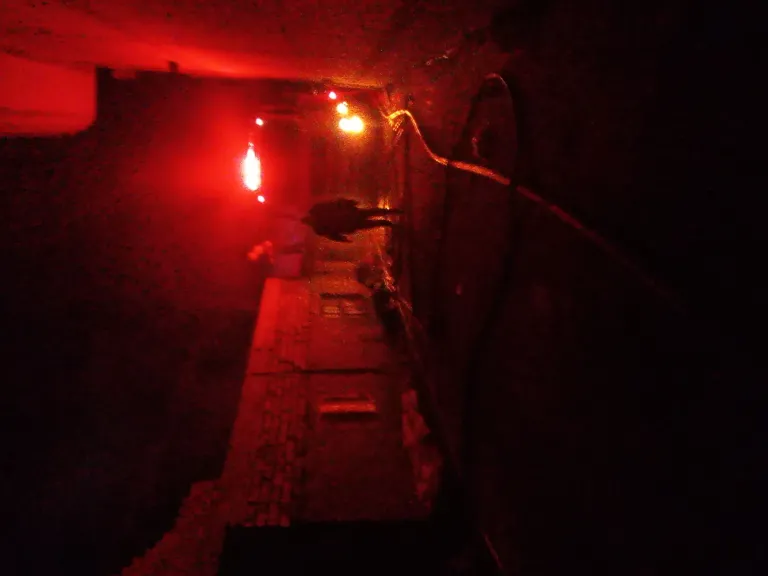 حريق مزرعة دواجن بكفر الشيخ