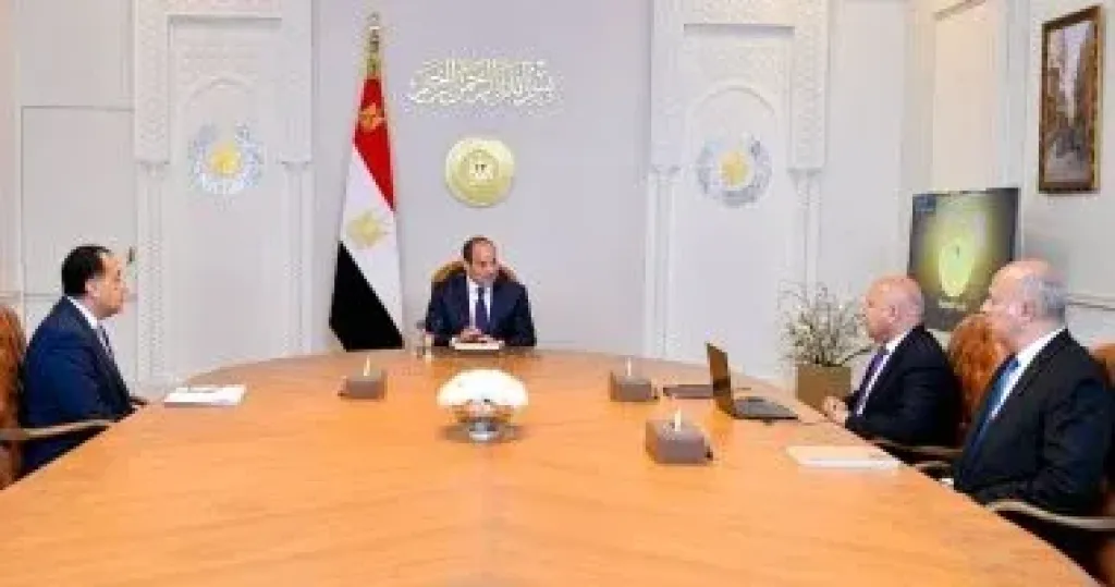 الرئيس السيسى يطّلع على المخطط العام لتطوير ميناء دمياط والمشروعات الجاري تنفيذها