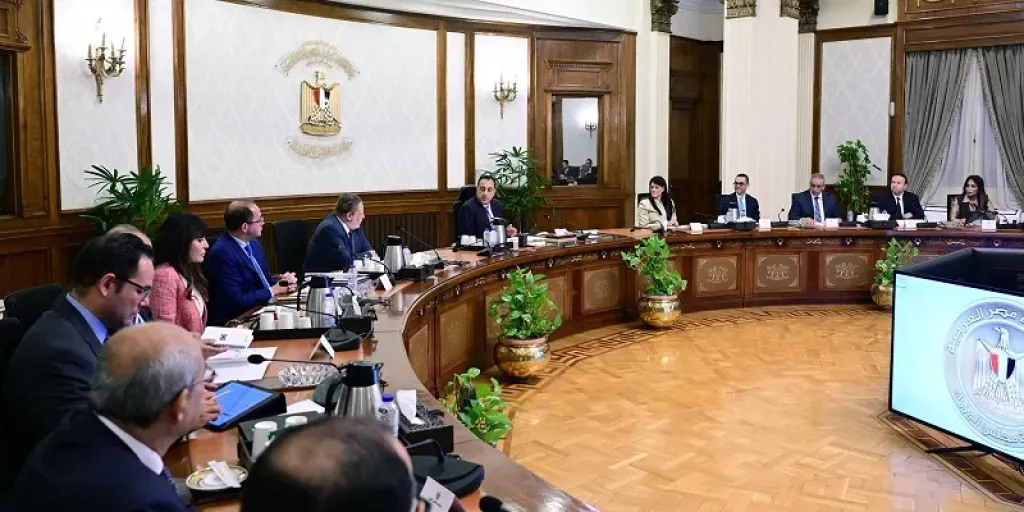 مجلس الوزراء يوافق على الاستراتيجية الوطنية لتمكين الأشخاص ذوي الإعاقة