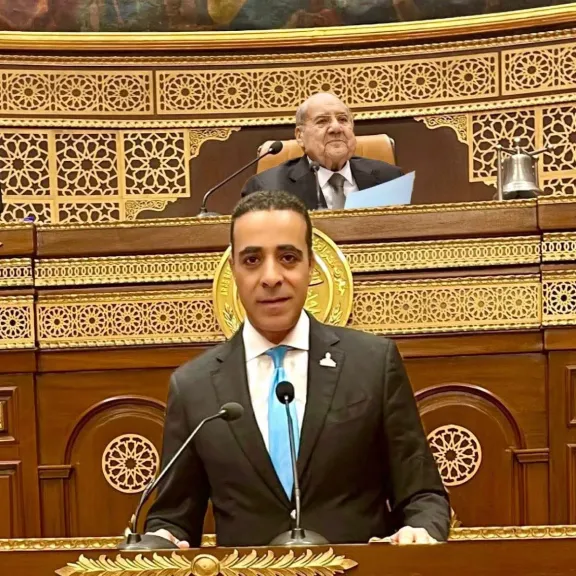 رئيس الوفد يعين الدكتور  أحمد حماد مستشاراً لشؤون اللجان الإقليمية والنوعية