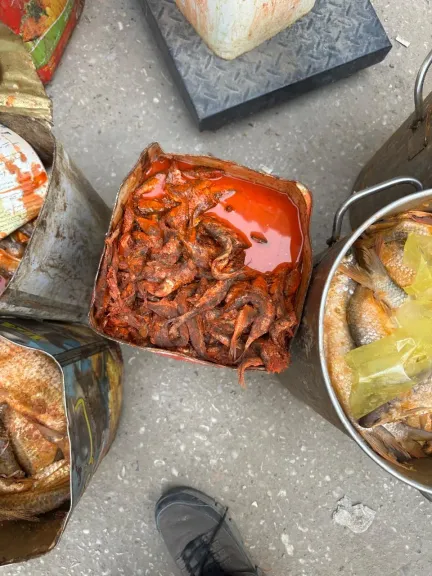 محافظ أسيوط: ضبط 250 كجم أسماك فاسدة في حملة رقابية مكبرة بالأسواق