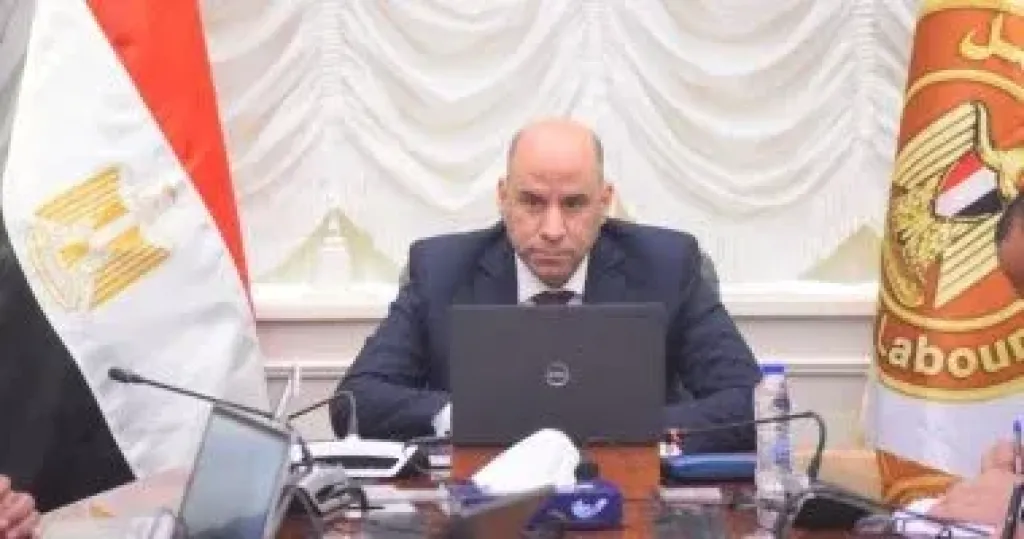 وزير العمل يصدر 3 قرارات هامة.. منها منح إجازات إضافية وضوابط تشغيل الأطفال