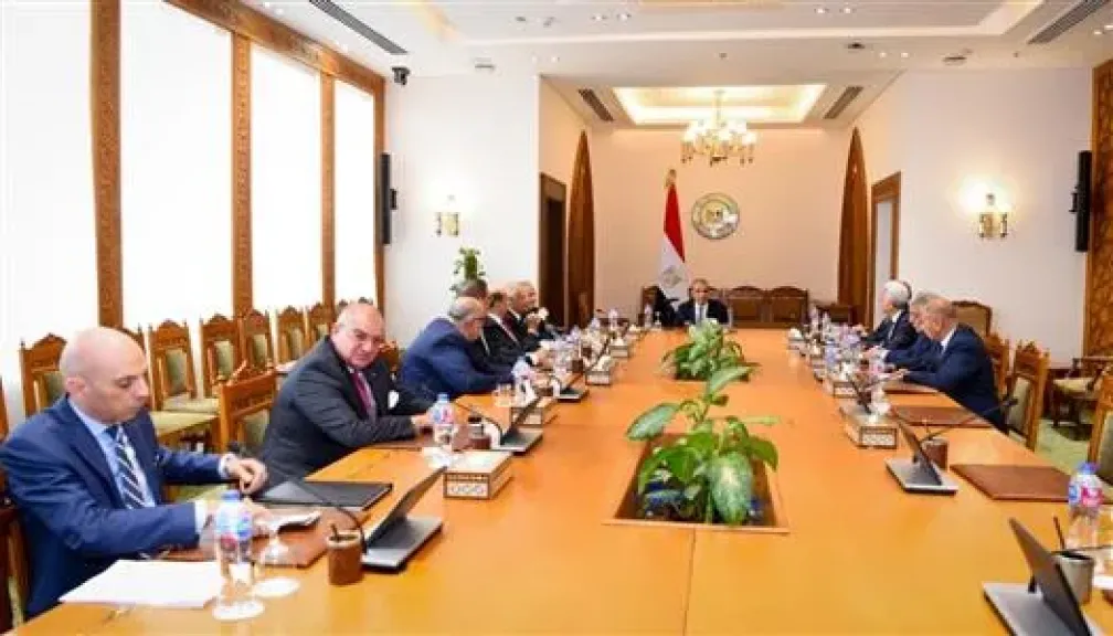 وزير الخارجية يلتقى عددا من السفراء المتقاعدين