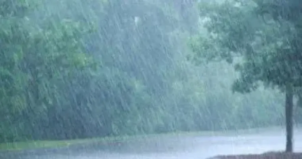 الأرصاد تحذر من استمرار الطقس السيئ الساعات المقبلة.. وأمطار رعدية شديدة